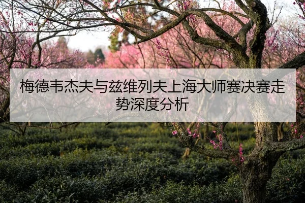 梅德韦杰夫与兹维列夫上海大师赛决赛走势深度分析
